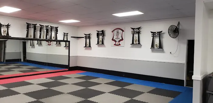 United Kenpo Karate Studios Picture 4