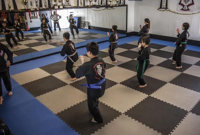 United Kenpo Karate Studios Picture 8