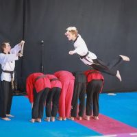 Master Hwang's World Martial Arts Center ico