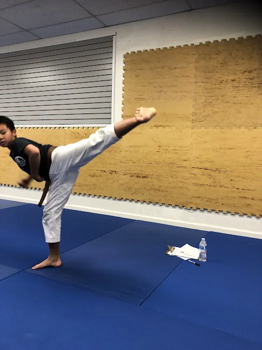 USA Hapkido Picture 2