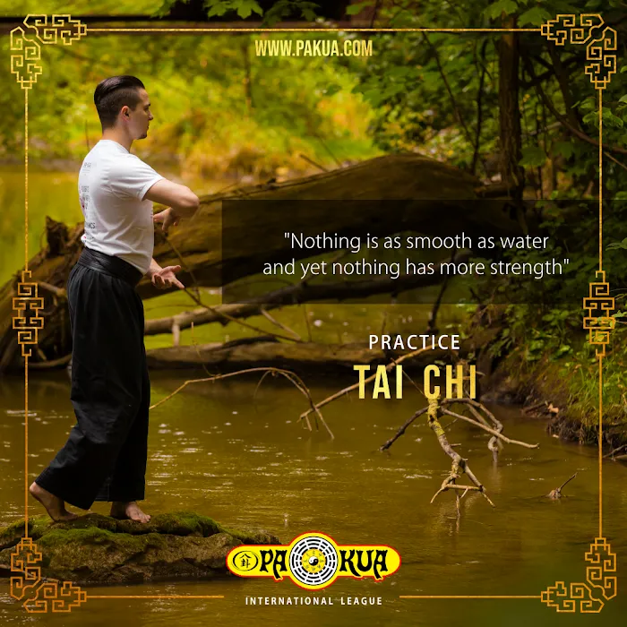 PaKua Martial Arts & Tai Chi Center Picture 9