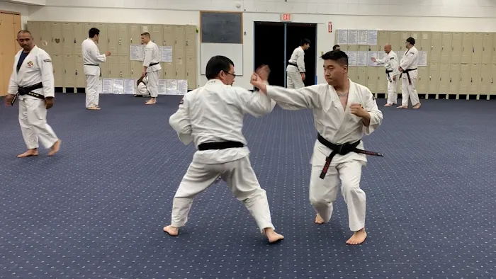 Orange County Shorinji Kempo Martial Arts Picture 6