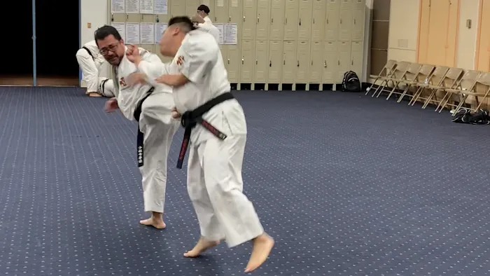 Orange County Shorinji Kempo Martial Arts Picture 8