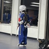 Martial Arts USA ico