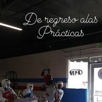 FUTURE LEGEND TAEKWONDO ico