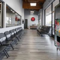 Lions Taekwondo Academy ico