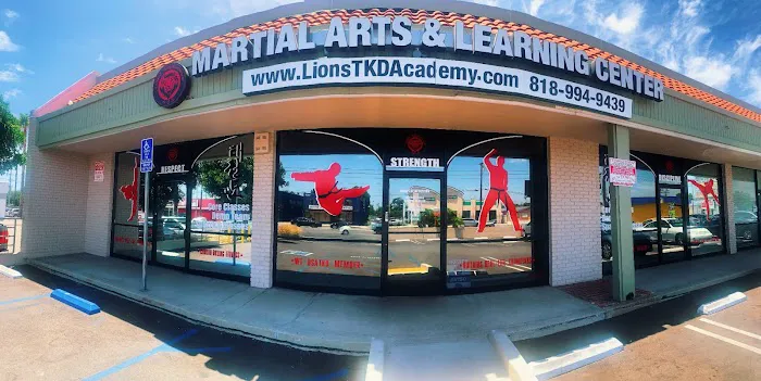 Lions Taekwondo Academy Picture 4