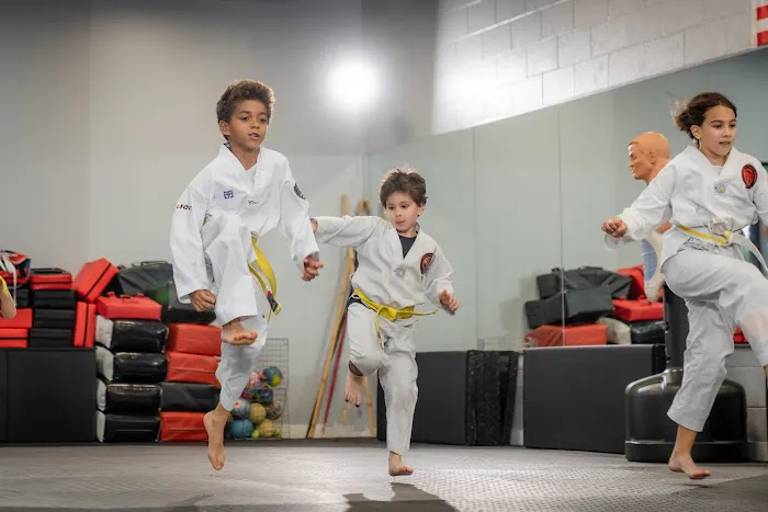 Lions Taekwondo Academy Picture 5