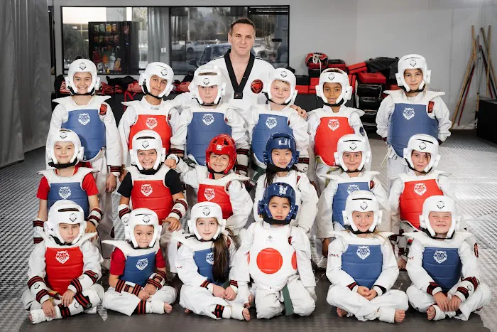 Lions Taekwondo Academy Picture 3