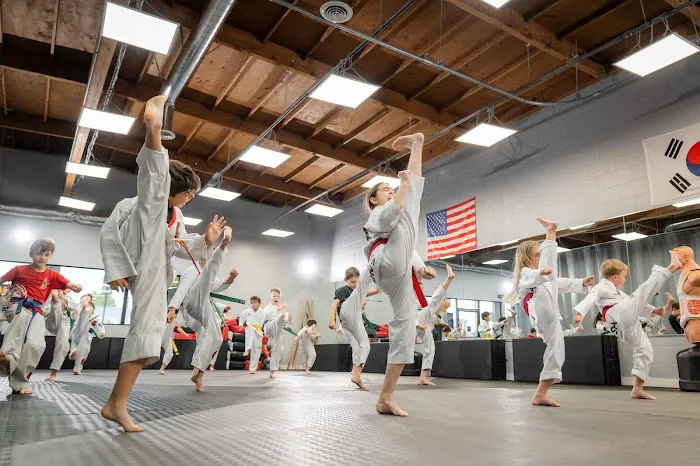 Lions Taekwondo Academy Picture 8