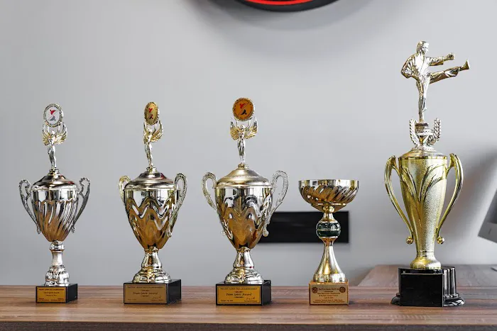 Lions Taekwondo Academy Picture 9