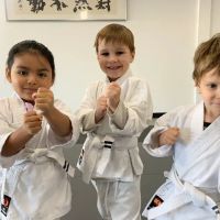 Valley Martial Arts Center ico