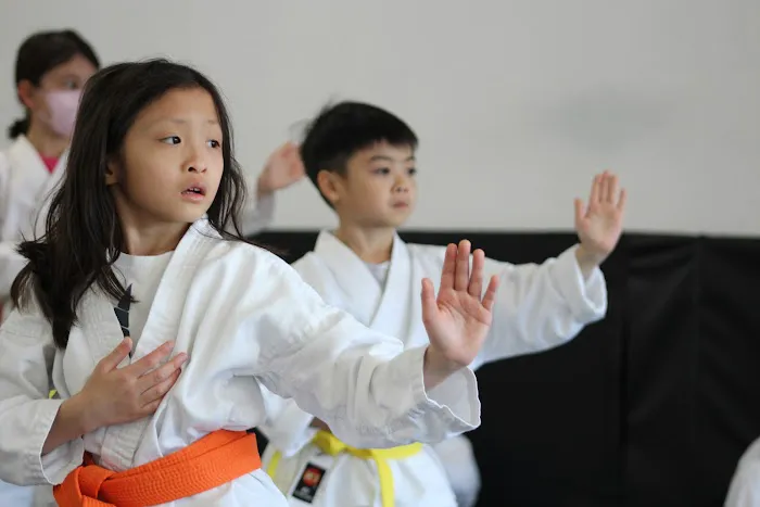 Valley Martial Arts Center Picture 9