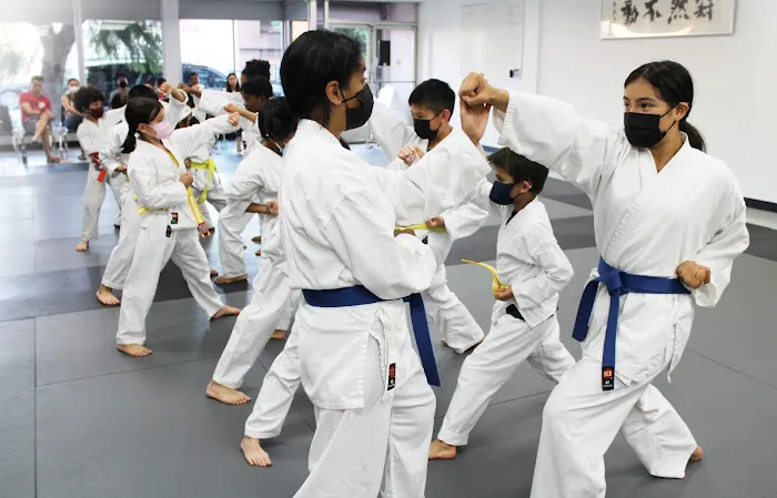 Valley Martial Arts Center Picture 10