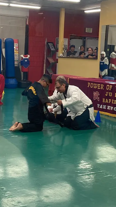 Power of The Arts Unlimited Picture 4