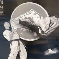 Koryo Taekwondo Martial Arts ico