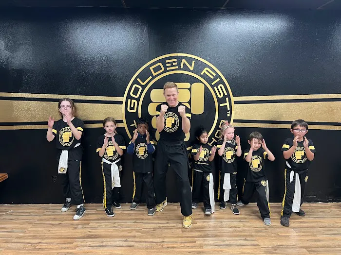 Golden Fist Training Method & Martial Arts Picture 3