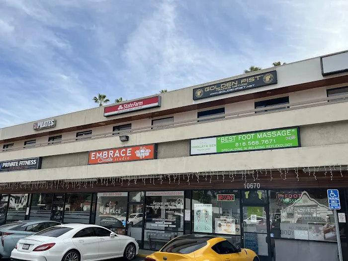 Golden Fist Training Method & Martial Arts Picture 2