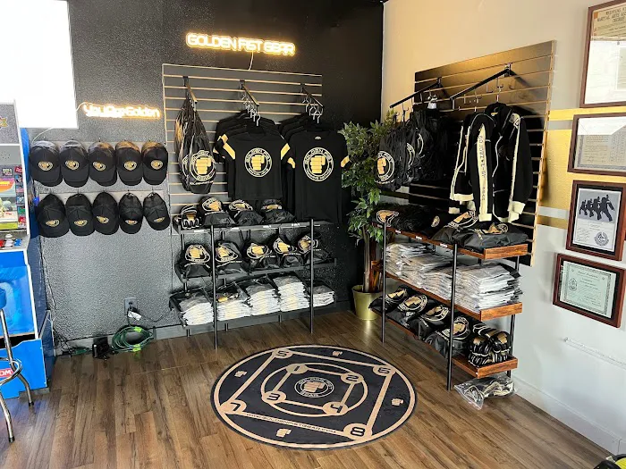 Golden Fist Training Method & Martial Arts Picture 5