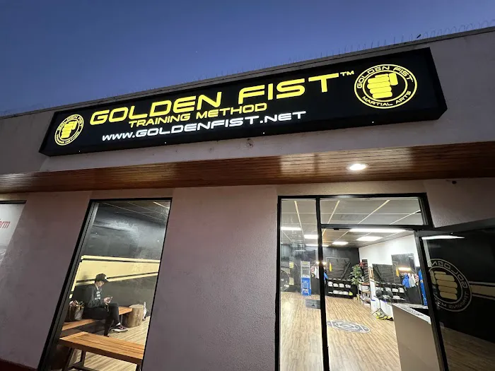 Golden Fist Training Method & Martial Arts Picture 7