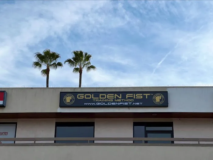 Golden Fist Training Method & Martial Arts Picture 9