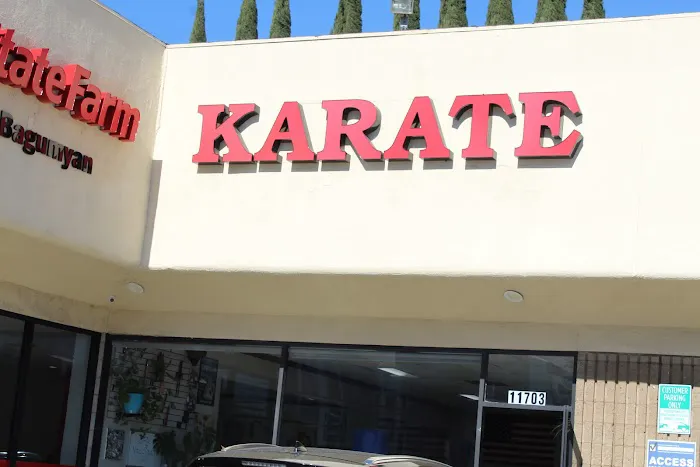 Z Ultimate Self Defense Studios Picture 4