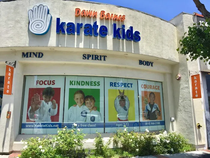 Dawn Barnes Karate Kids Picture 5