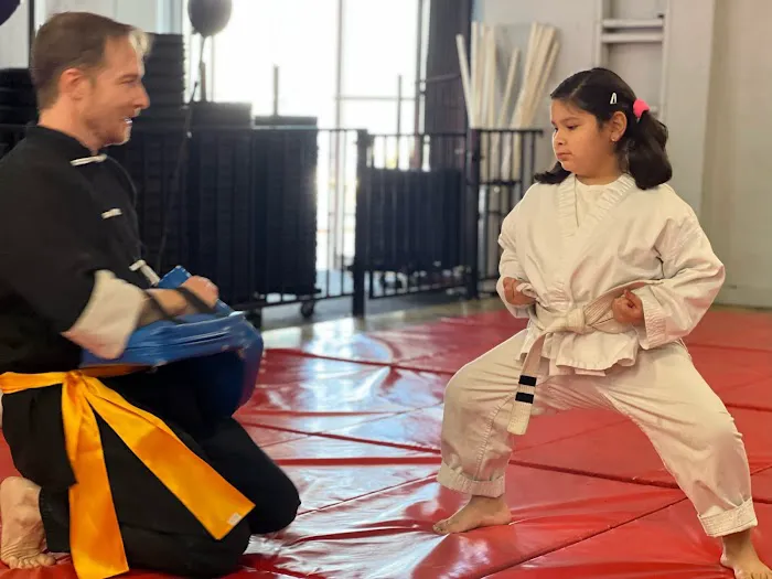 Five Families Kung Fu San Soo Picture 2