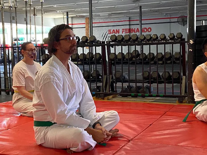 Five Families Kung Fu San Soo Picture 1