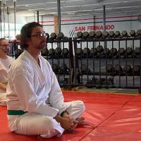 Five Families Kung Fu San Soo ico