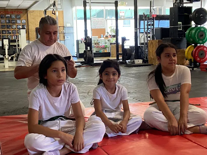 Five Families Kung Fu San Soo Picture 5