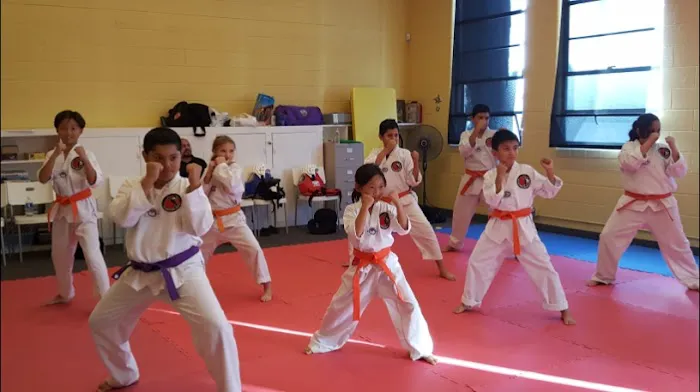 Ken Nagayama Martial Arts - San Fernando Picture 5