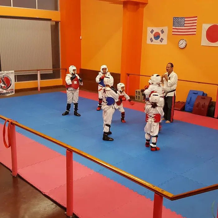 Ken Nagayama Martial Arts - San Fernando Picture 10