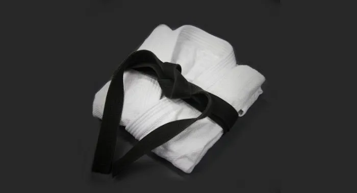 Dragon and Crane Dojo Picture 2