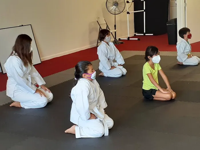 Dragon and Crane Dojo Picture 3