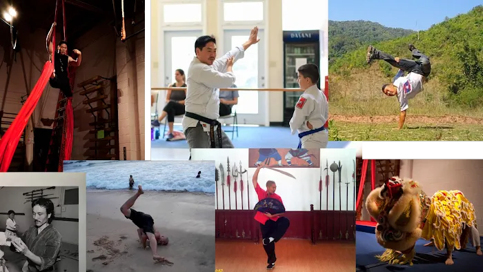 Dragon and Crane Dojo Picture 9