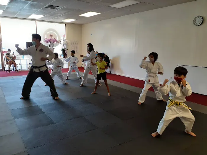 Dragon and Crane Dojo Picture 7