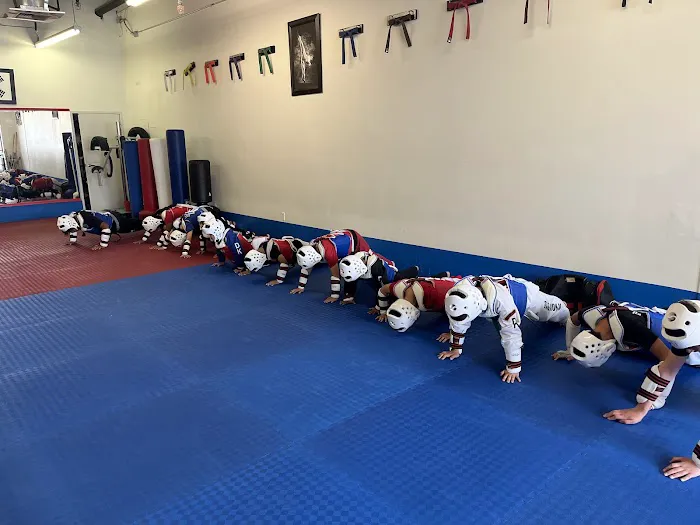 DK Taekwondo Academy-Northridge Picture 3