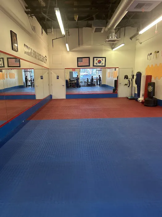 DK Taekwondo Academy-Northridge Picture 4