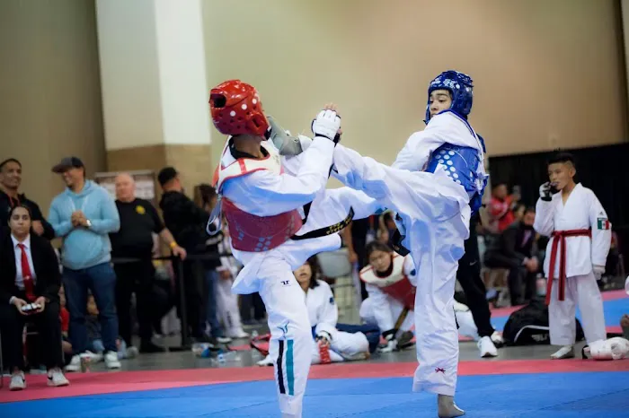DK Taekwondo Academy-Northridge Picture 10