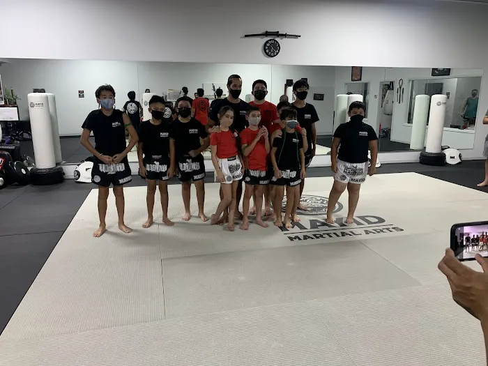 Mayid Martial Arts Picture 2