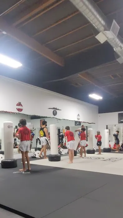 Mayid Martial Arts Picture 4