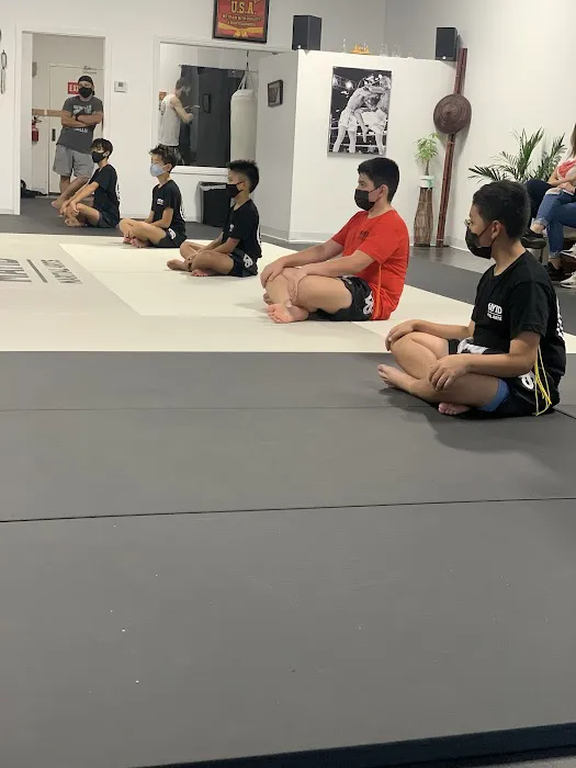 Mayid Martial Arts Picture 1