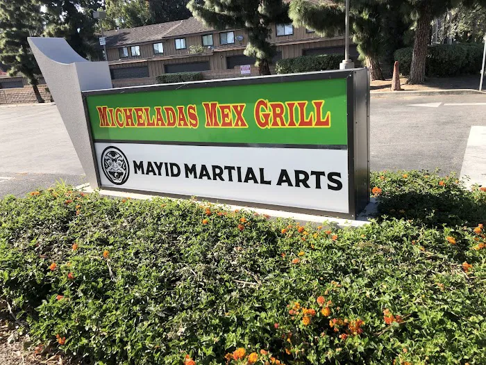 Mayid Martial Arts Picture 5