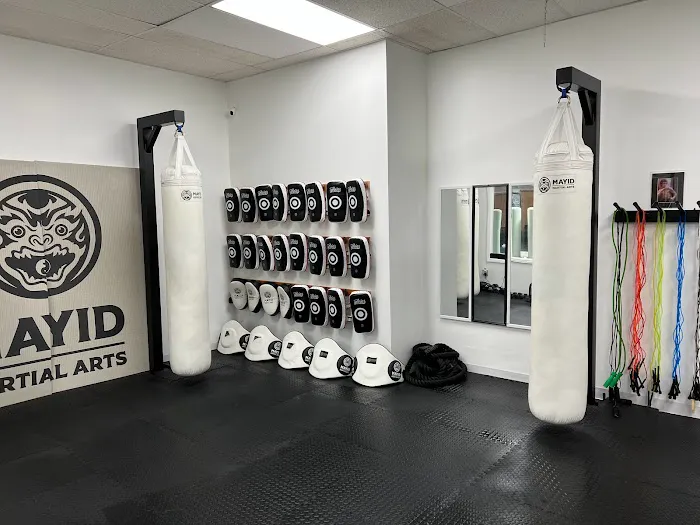 Mayid Martial Arts Picture 8