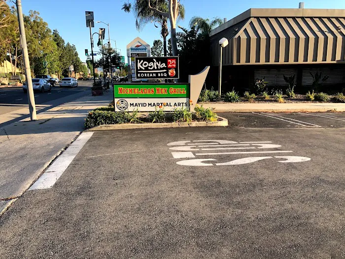 Mayid Martial Arts Picture 7