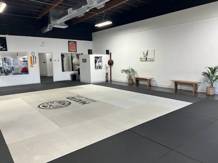 Mayid Martial Arts Picture 6