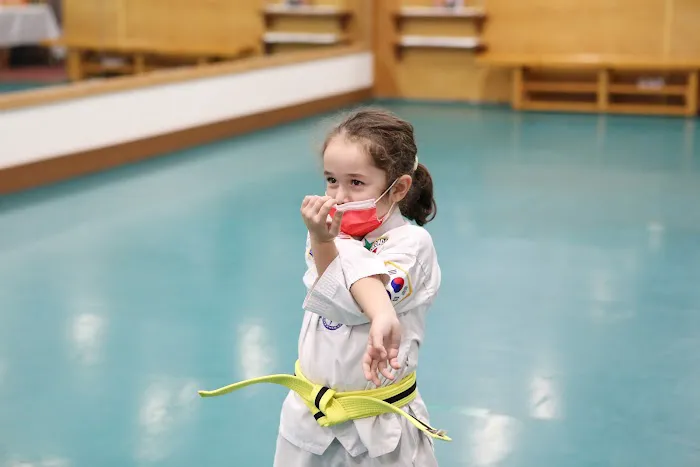 US Taekwondo Center Porter Ranch Picture 1