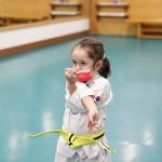 US Taekwondo Center Porter Ranch