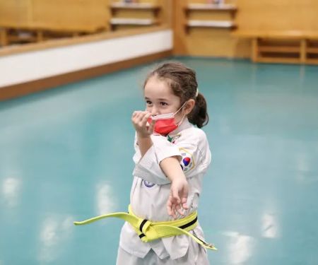 US Taekwondo Center Porter Ranch